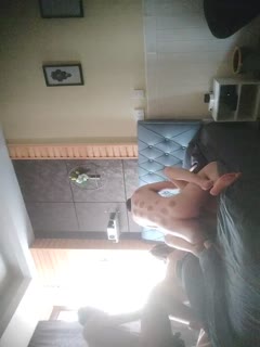 两对夫妻换妻活动，这次活动由于有一个绿帽老公_由于鸡巴阳痿了全程拿着相机拍摄，还找两个领导一起操老婆。绿帽老公只在旁边辅助，看老婆被操的结合处。(2).的封面图