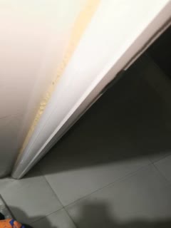 私拍泄密流出_老婆在睡觉_跟她闺蜜在厕所偷情.的封面图